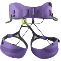 Vorschau: Edelrid Helia II - Klettergurt violet - Bild 2