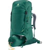 Vorschau: deuter Fox 40 - Trekkingucksack für Jugendliche alpinegreen-forest - Bild 7