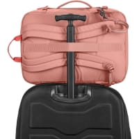 Vorschau: pacsafe Go Carry-On Backpack 34L - Handgepäckrucksack rose - Bild 21