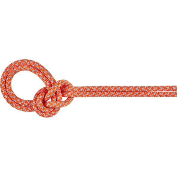 Mammut 8.7 Crag Sender Dry Rope - drei Normen Seil vibrant orange-zen - Bild 1