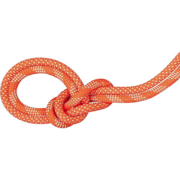 Mammut 9.8 Crag Classic Rope Duodess - Einfachseil vibrant orange-white - Bild 1