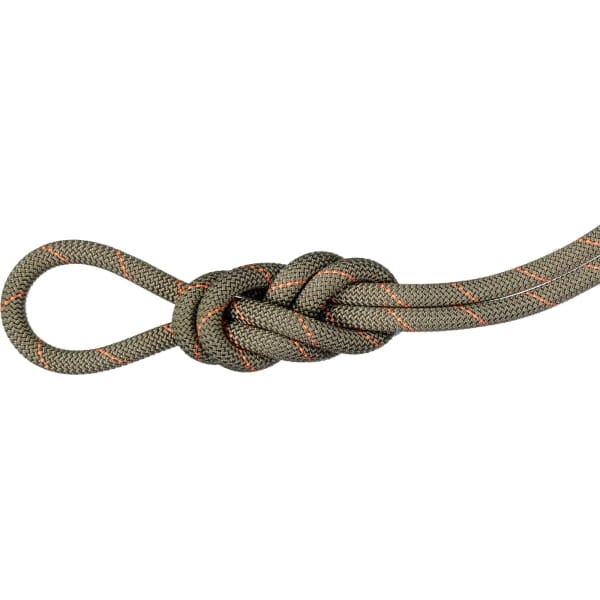 Mammut 9.9 Gym Workhorse Classic Rope - Kletterhallenseil boa - Bild 1