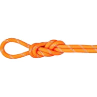 Mammut 9.5 Alpine Dry Rope - Einfachseil