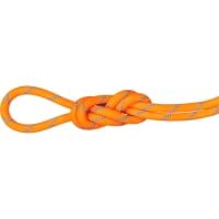 Mammut 8.7 Alpine Sender Dry Rope - drei Normen Seil