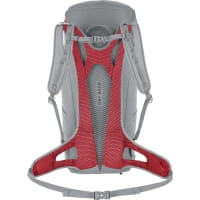 Vorschau: Salewa Alp Mate 24 WS - Trekkingrucksack alloy - Bild 2