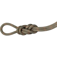 Mammut 9.9 Gym Workhorse Classic Rope - Kletterhallenseil