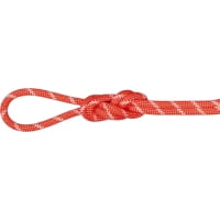 Mammut 8.0 Alpine Classic Rope - Doppelseil