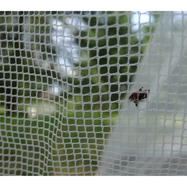 pharmavoyage Moskitonetz Trek - Mückenschutz - Bild 4