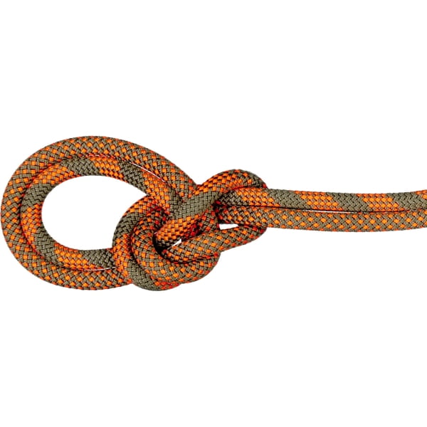 Mammut 9.5 Crag Dry Rope Duodess - Einfachseil boa-vibrant orange - Bild 1 Mammut 9.5 Crag Dry Rope Duodess - Einfachseil boa-vibrant orange - Bild 1