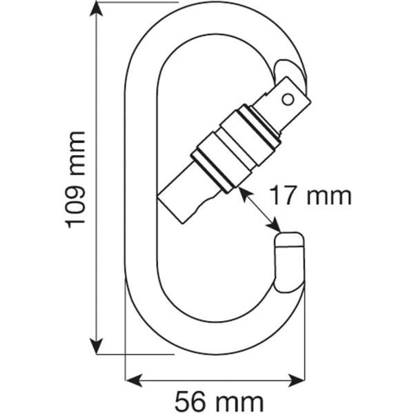 C.A.M.P. Oval Pro Lock - Schraubkarabiner silver - Bild 2